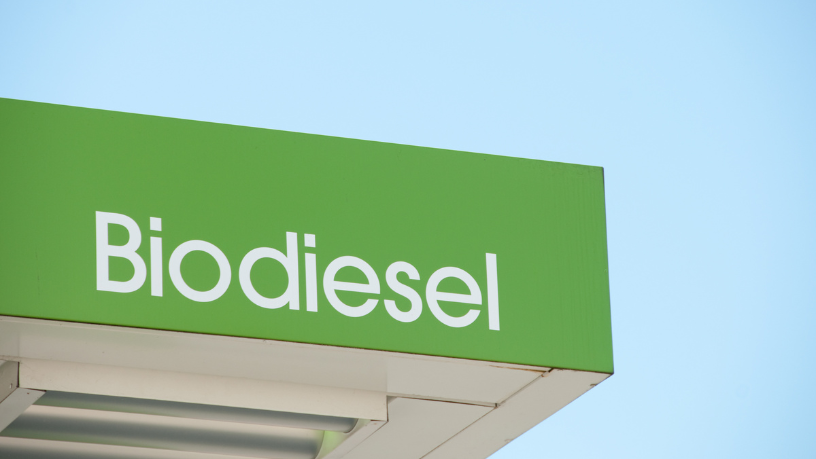 Fernando Trabach Filho aposta no etanol e biodiesel para reduzir emissões, promovendo uma matriz energética mais limpa e acessível no Brasil.