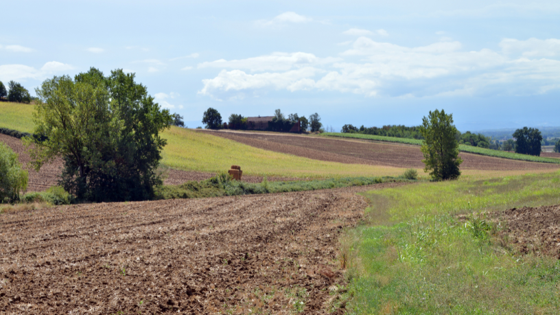 Com João Eustáquio De Almeida Junior, entenda como cultura e tradição moldam a identidade do produtor rural e fortalecem o campo brasileiro.