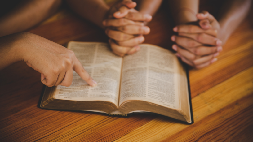 Jose Eduardo De Oliveira e Silva