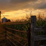 Parajara Moraes Alves Junior