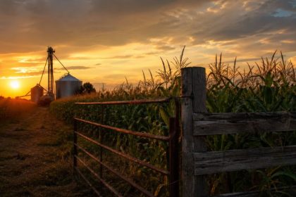 Parajara Moraes Alves Junior