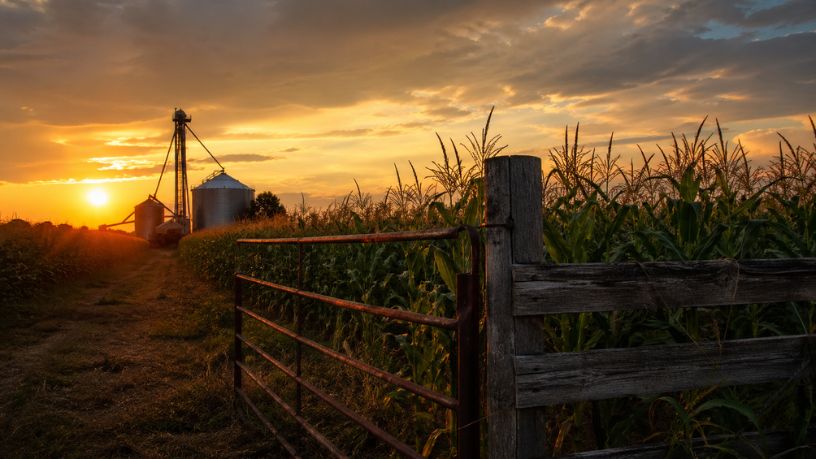 Parajara Moraes Alves Junior