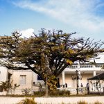 Fachada do Palácio do Governo da Paraíba, em João Pessoa, com árvores e céu ao fundo.