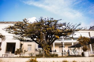 Fachada do Palácio do Governo da Paraíba, em João Pessoa, com árvores e céu ao fundo.