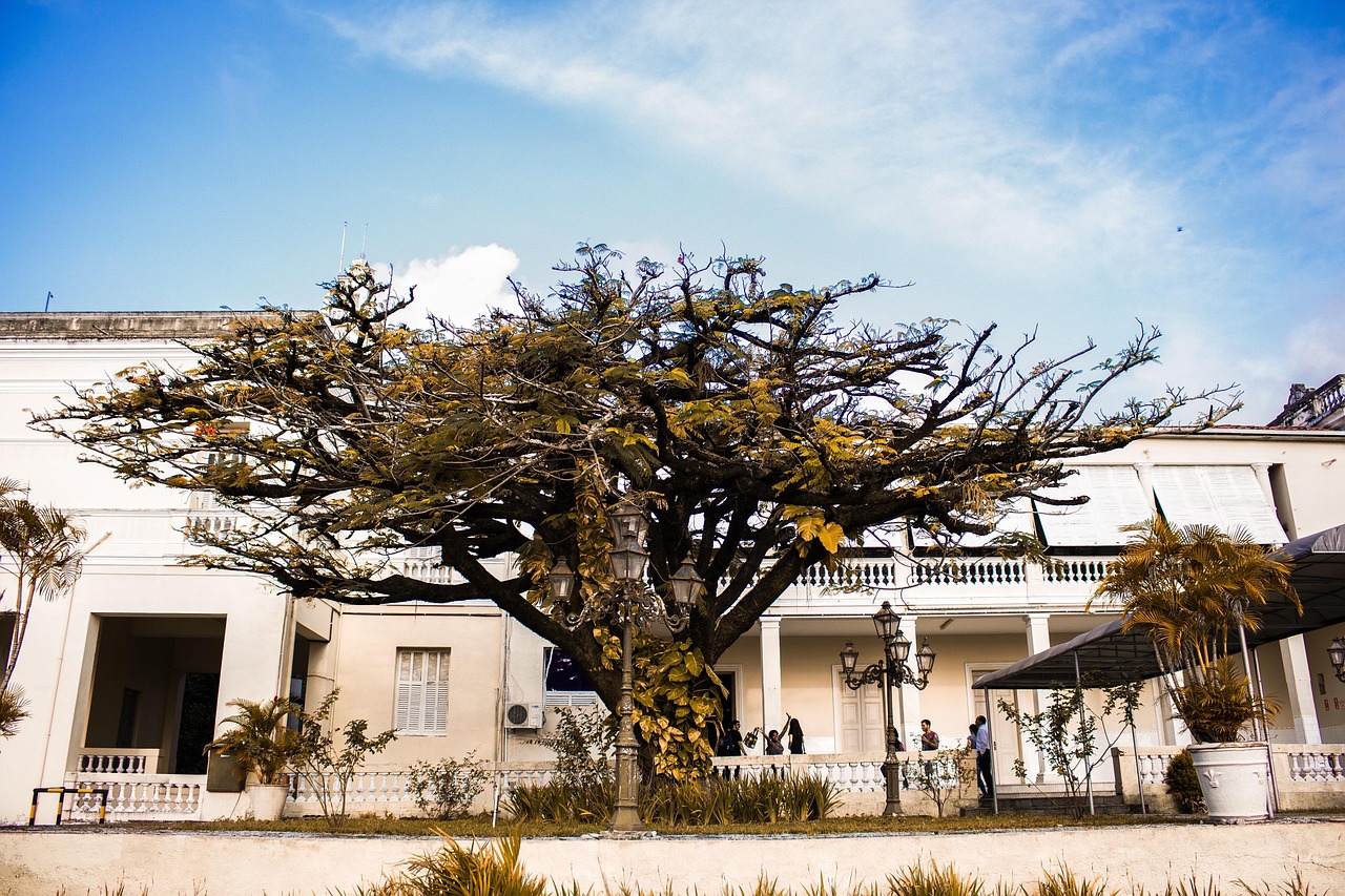 Fachada do Palácio do Governo da Paraíba, em João Pessoa, com árvores e céu ao fundo.